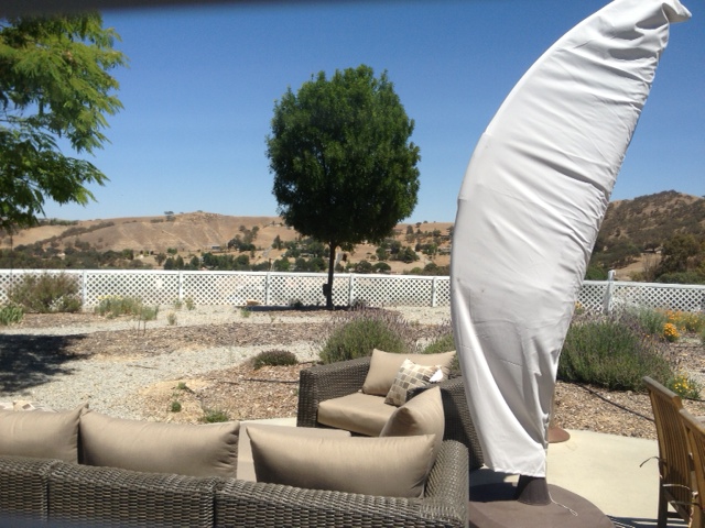 The view from the back of the house