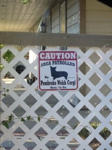 corgi sign